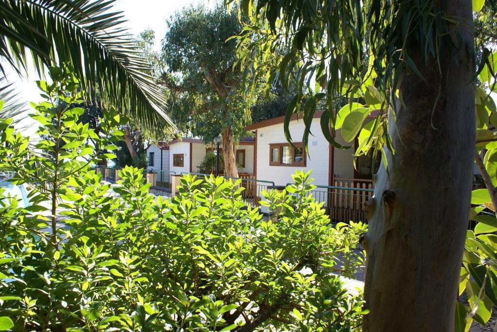Campsite Villaggio Dei Fiori